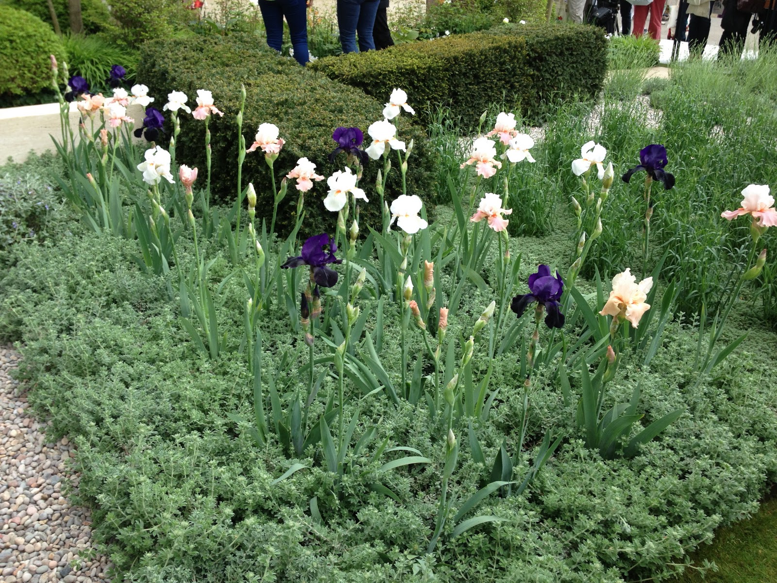 Mammamore: chelsea flower show och ulf nordfjells trädgård i ...