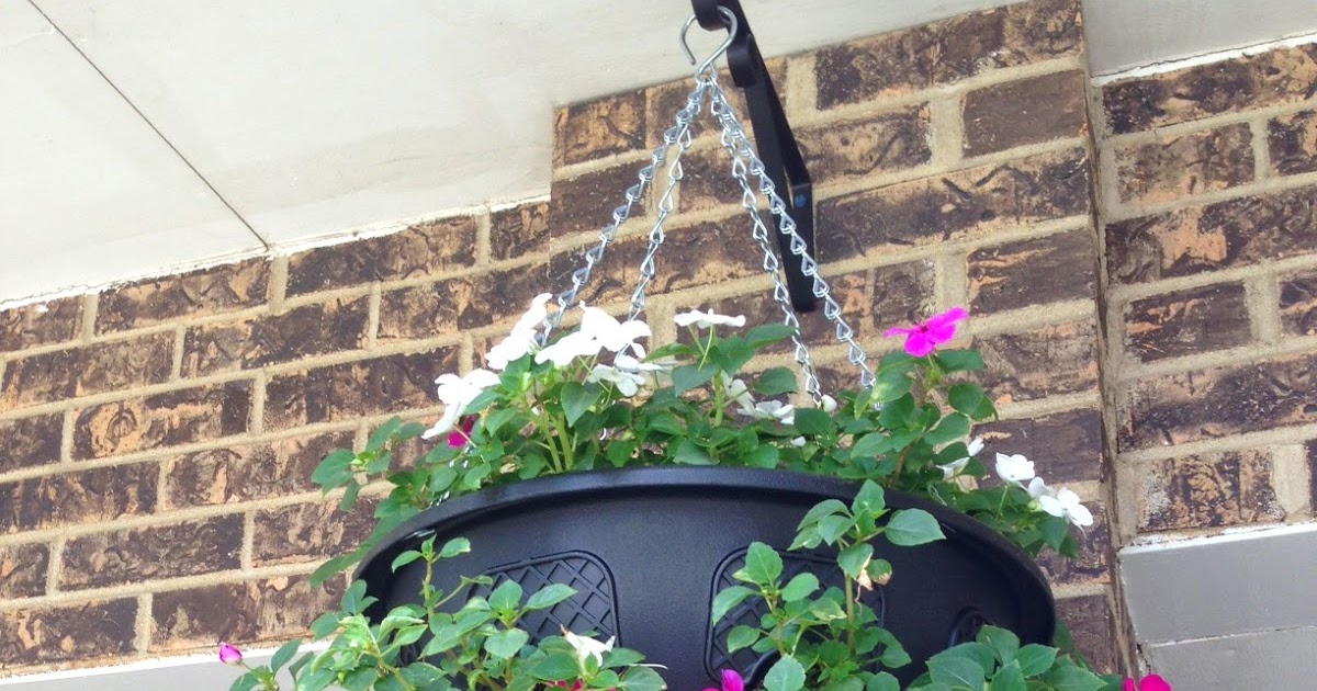 Hanging Flower Baskets Shady Business Getting the Perfect Hanging