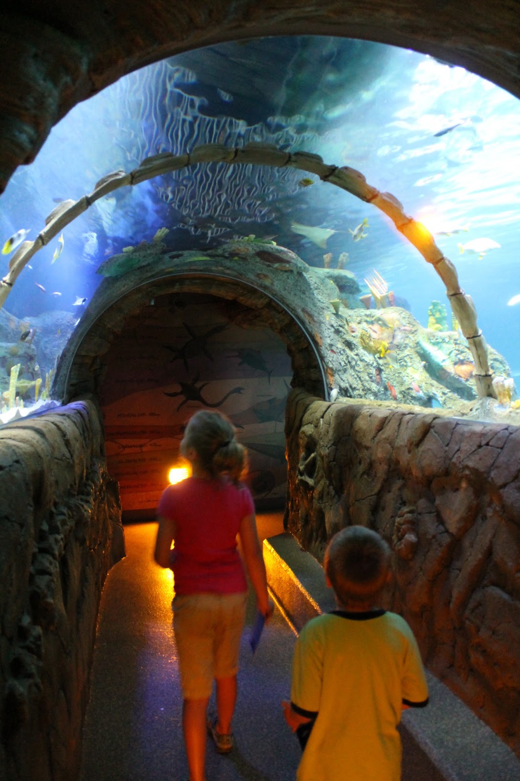 Sea Life Aquarium Kansas City Military Discount at Genevieve Taylor blog