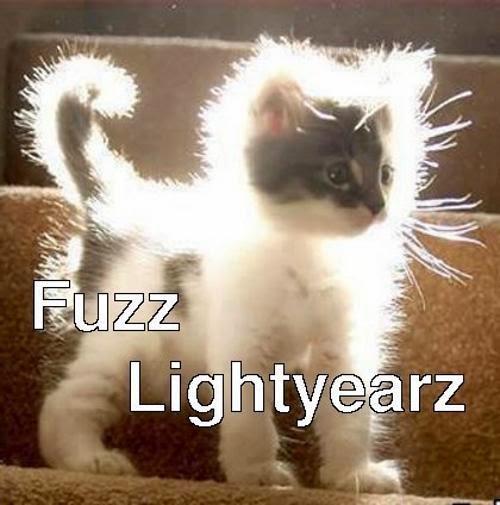 Fuzzy cat fuzz lightyear cat meme