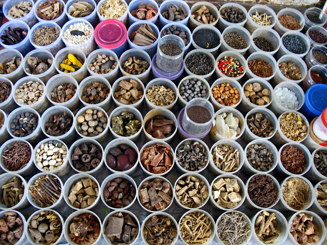 array of spices and herbs
