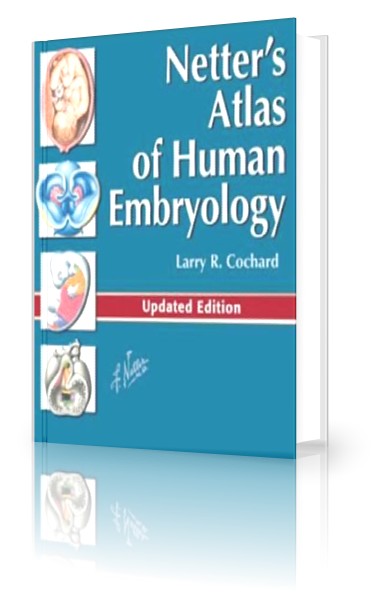 a brief atlas of the human body ebook surgery made easy netters atlas of embryology pdf a brief atlas of the human body ebook surgery made easy netters atlas of embryology pdf