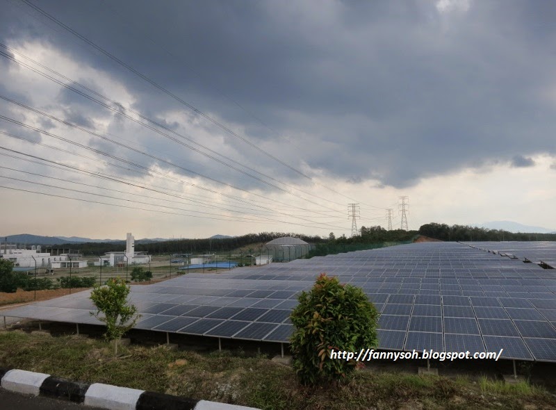 Green Energy in Malaysia Malacca Solar Farm in Malaysia