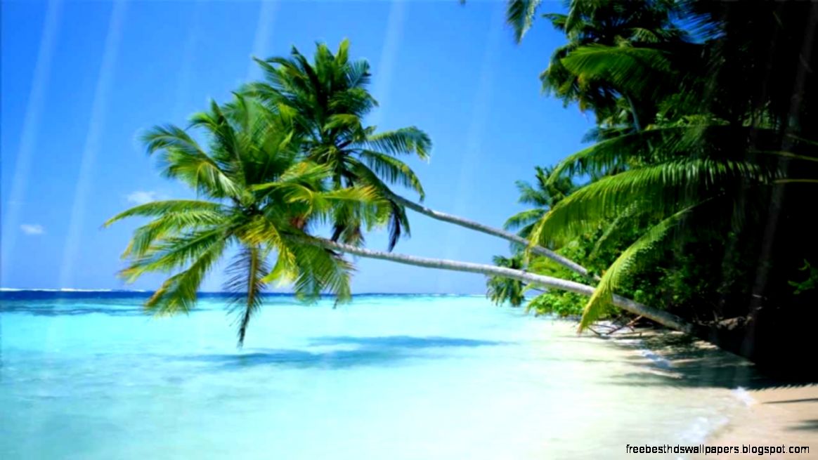 Summer Beach Animated Wallpaper Summer Beach Animated Wallpaper
