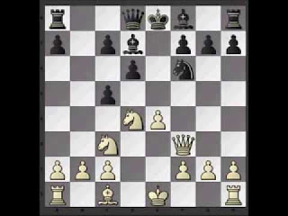 Shirov demonstrates the art of attack in chess