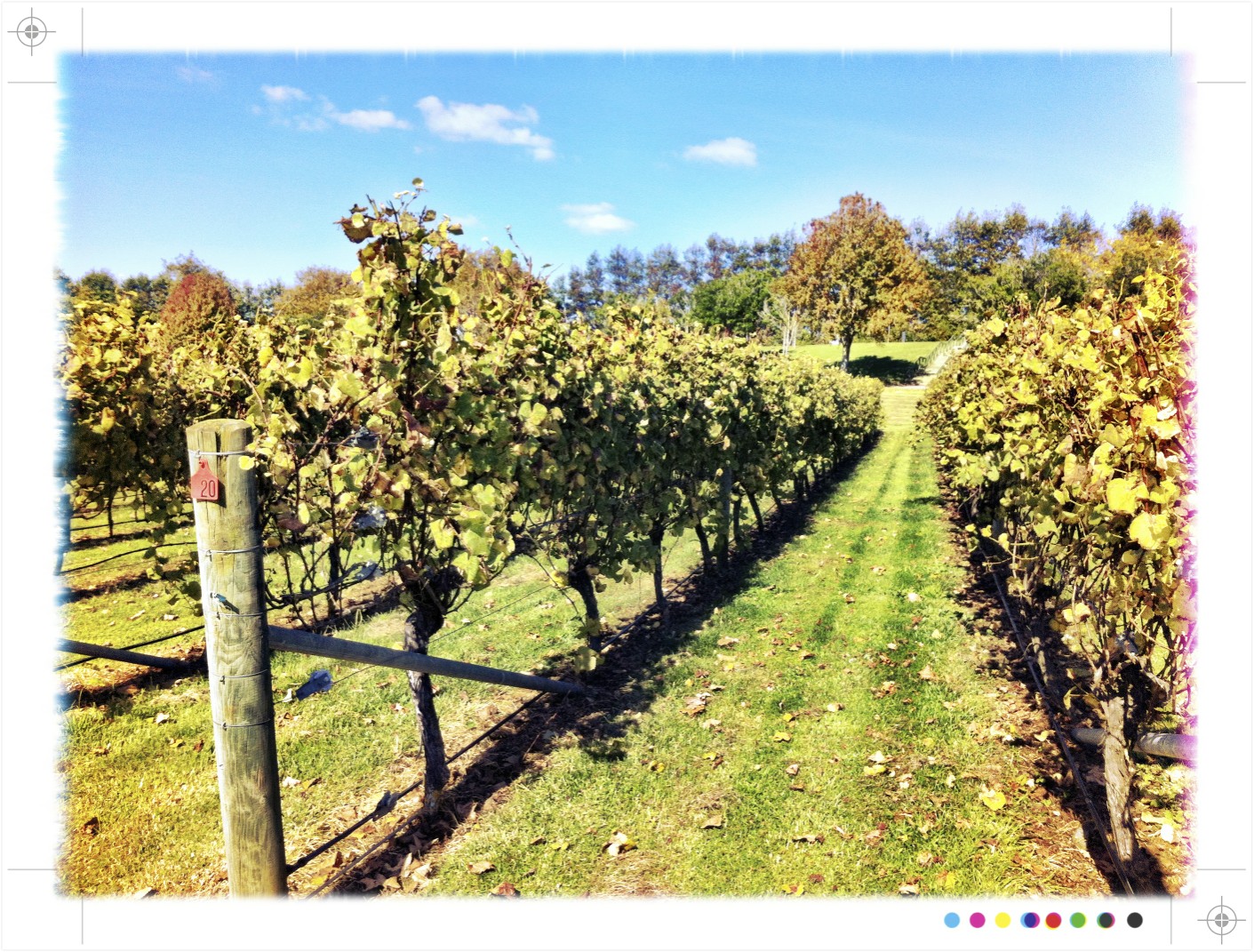 Toast Auckland Eats Villa Maria