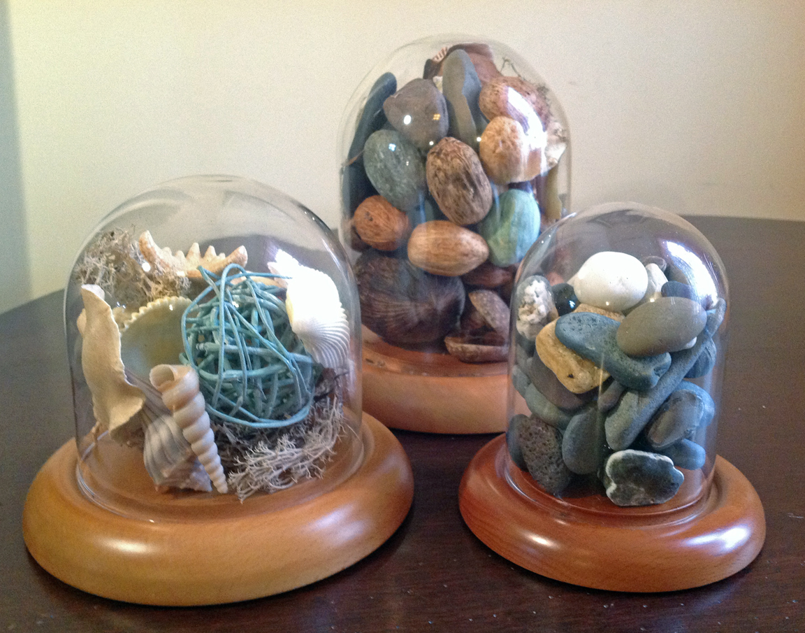 How Do I Choose the Right Glass or Acrylic Display Case or Glass Dome?