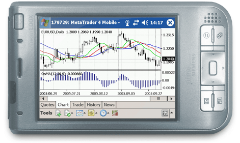 Easy forex hebrew