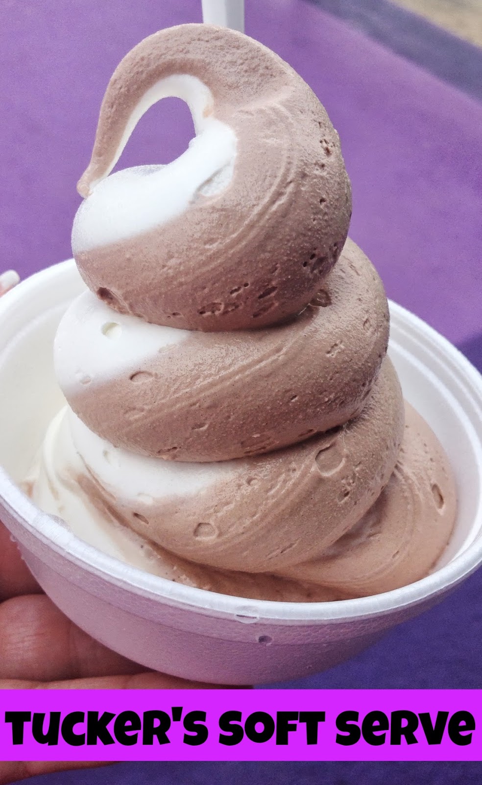 Cincinnati Road Trip Whippy Dip and Antiques The Food Hussy!