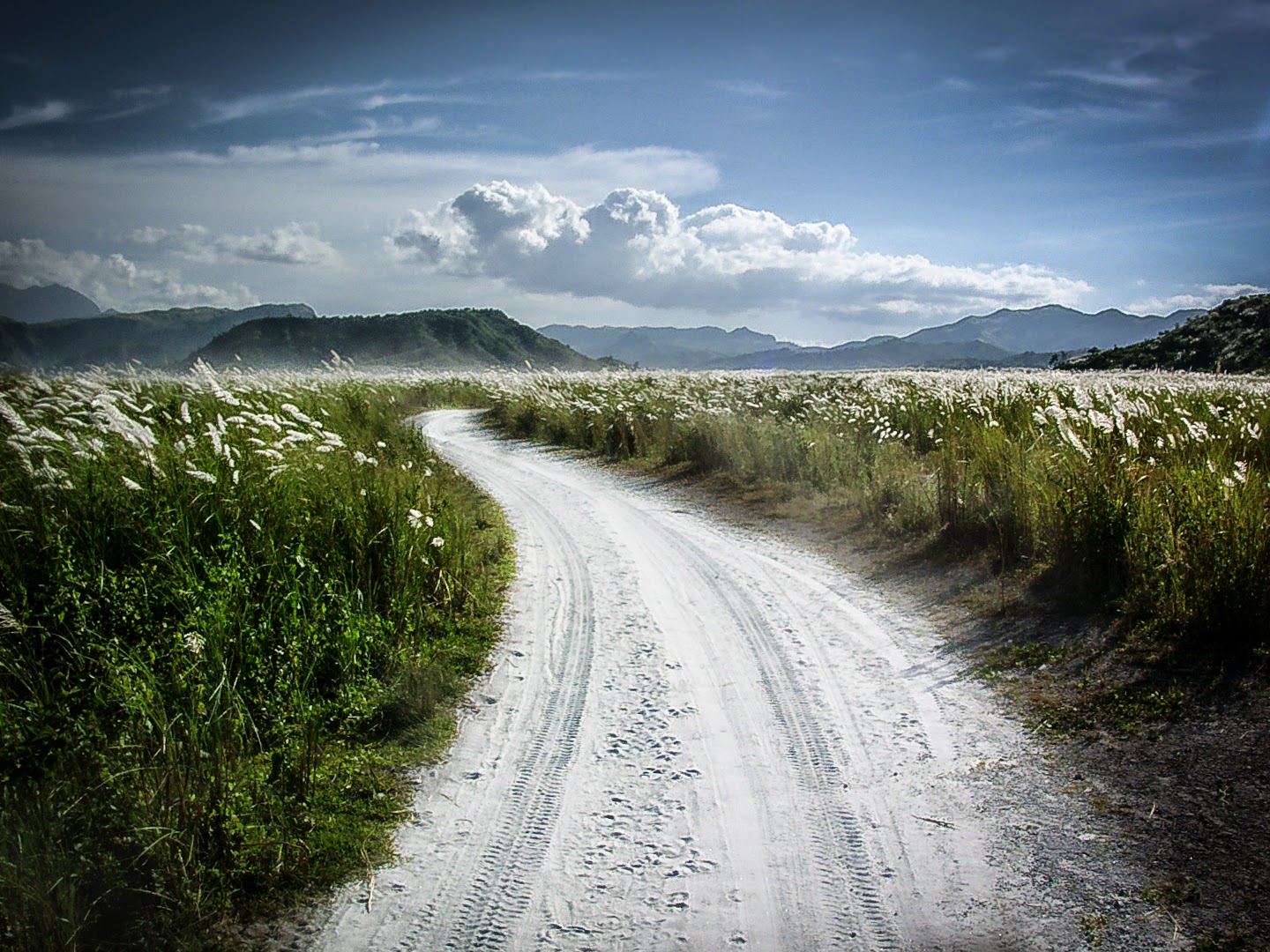 Mount pinatubo essay picture
