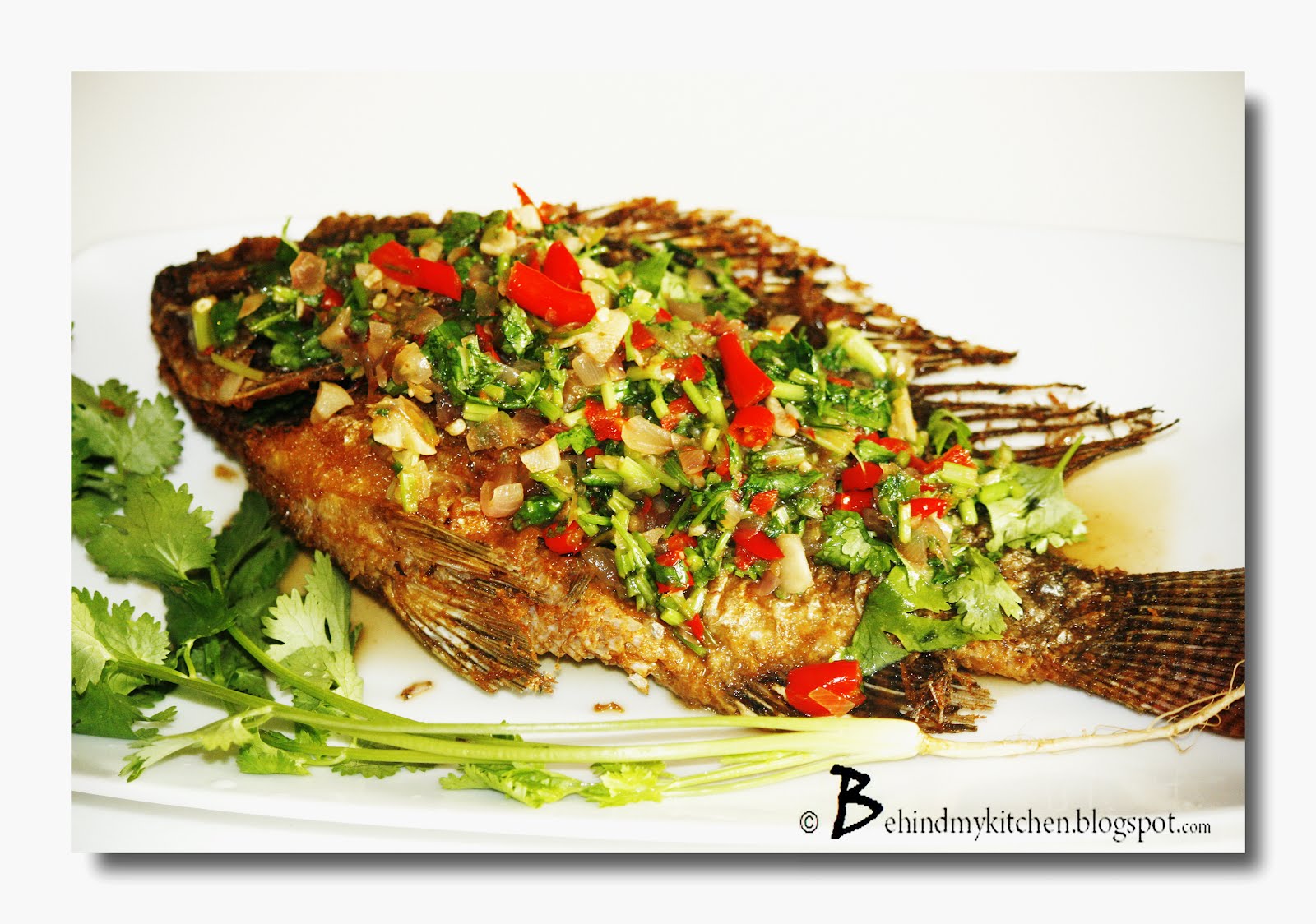BEHIND MY KITCHEN Deep Fried Fish with Chili Tamarind Sauce ปลาราดพริก