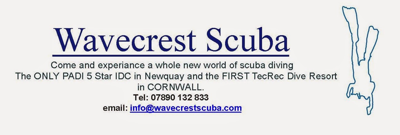 Wavecrest Scuba blog