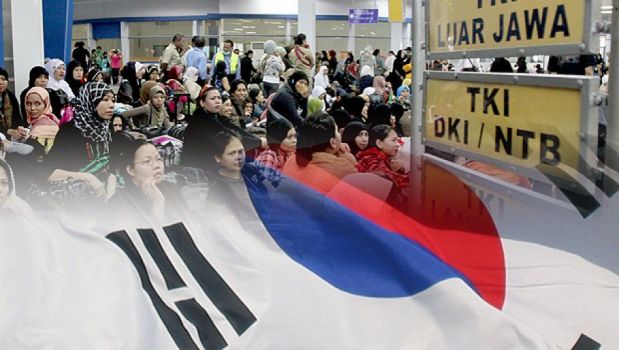 Penempatan Ke Korea Selatan sepenuhnya tidak pakai calo