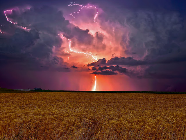 Fotografías de la Naturaleza