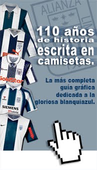 Guía de camisetas