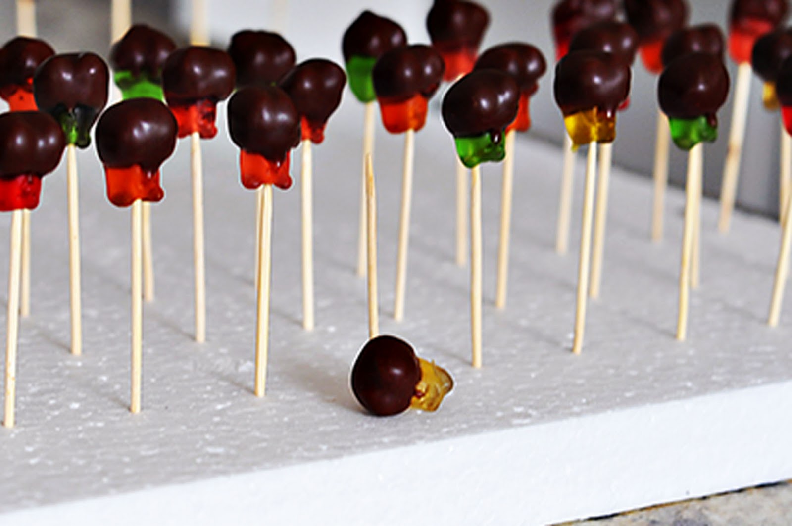 The Cheese Thief Chocolate Covered Gummy Bears Recipe / How To