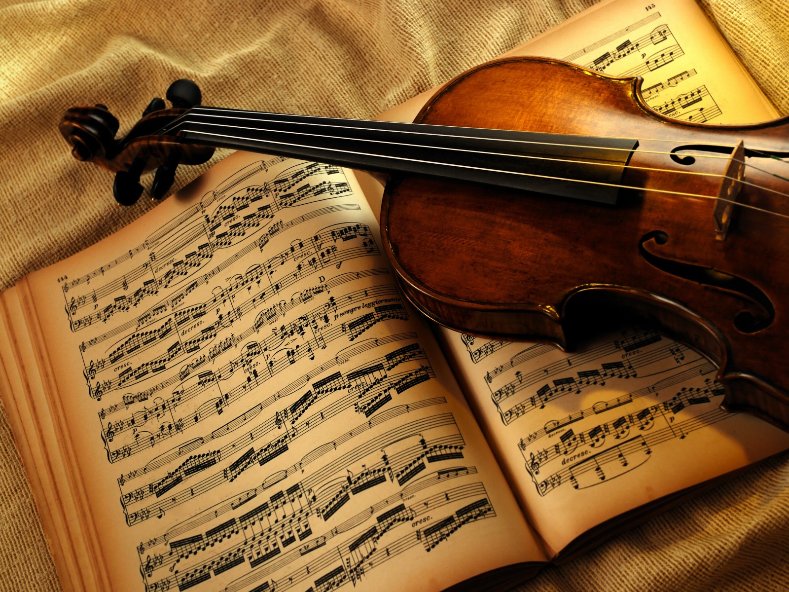 Image result for violin, love