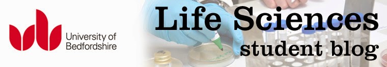 The Life Sciences student blog