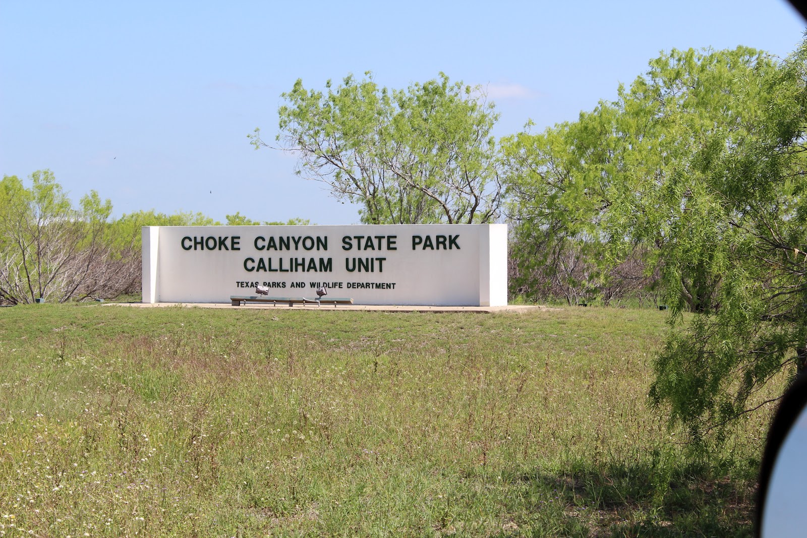 Cup of Daisies First EVER Caldwell Family Camping Trip