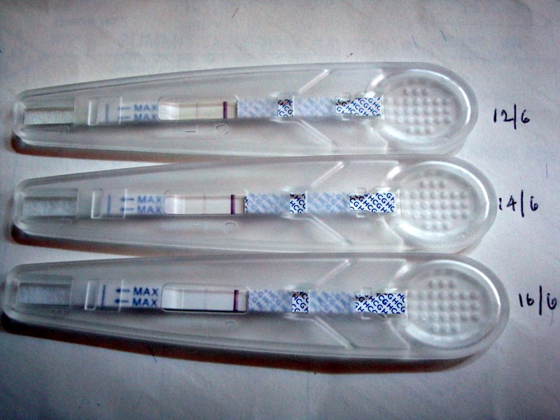 Ovulation (LH) & Pregnancy (HCG) Test Malaysia Review Guardian
