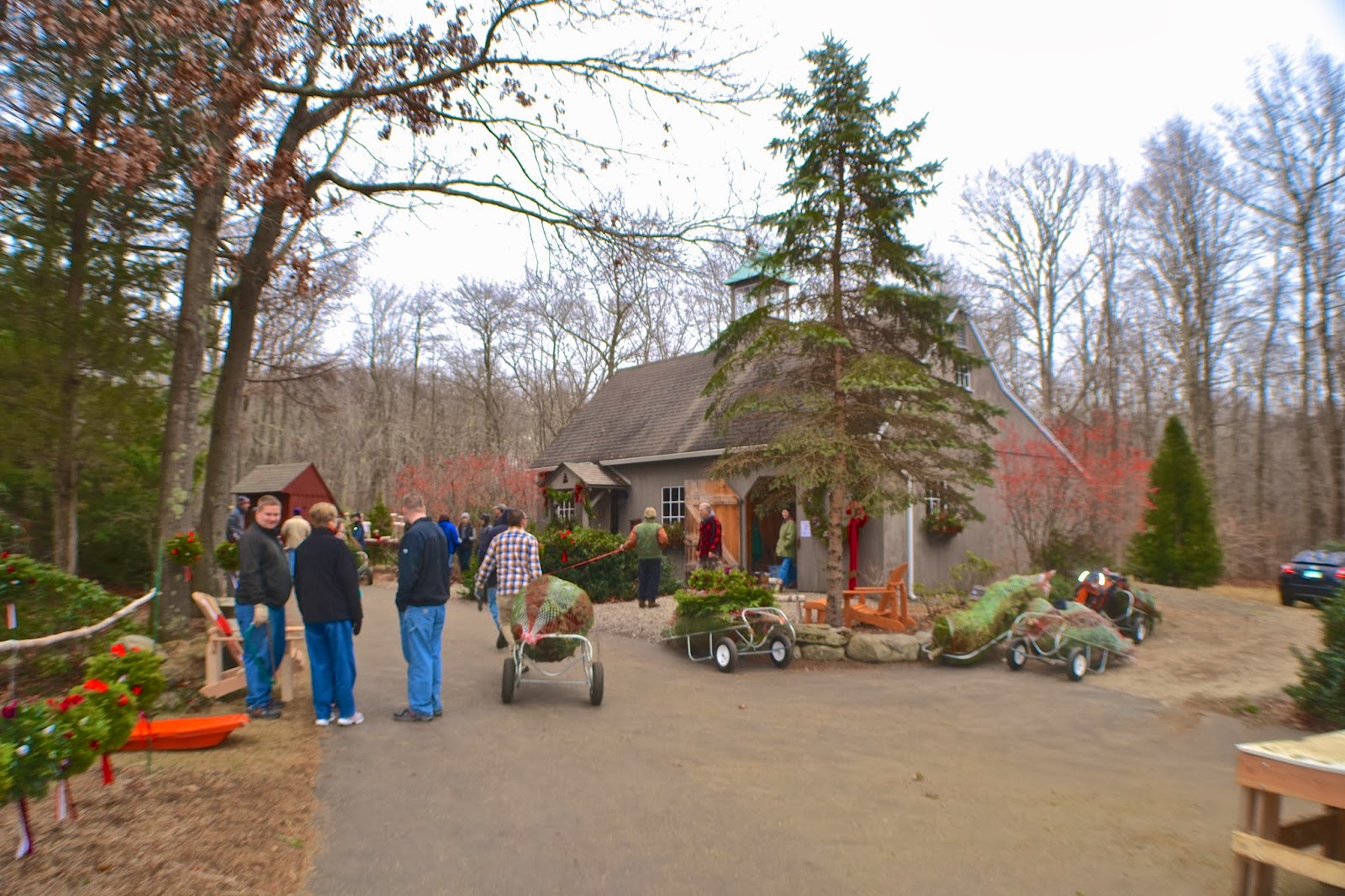 Focus On Killingworth, CT and Surrounding Towns Christmas At