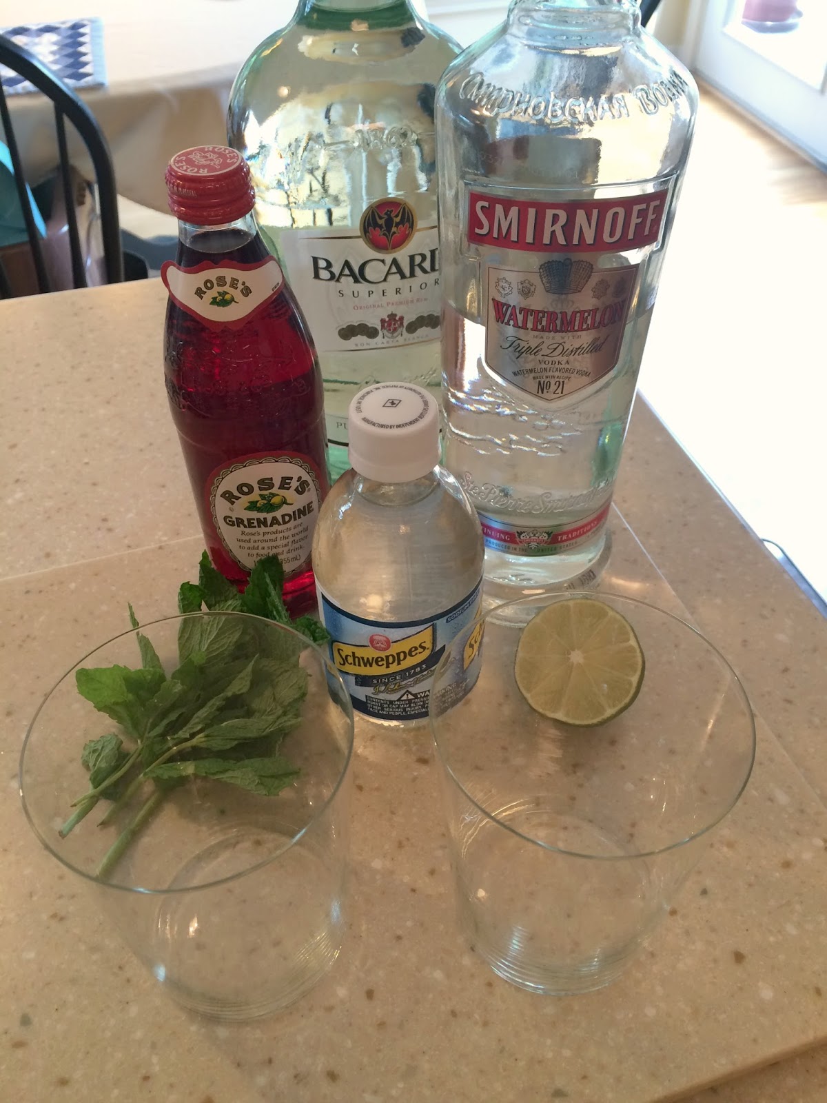 Style My Way Cocktail Confessions Watermelon Splash