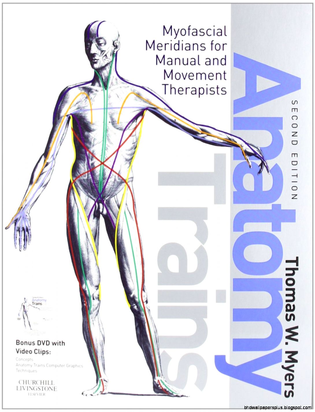 How Long Does It Take To Create Lasting Change Advantage How Long Does It Take To Create Lasting Change Advantage