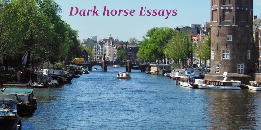 Dark horse Essays