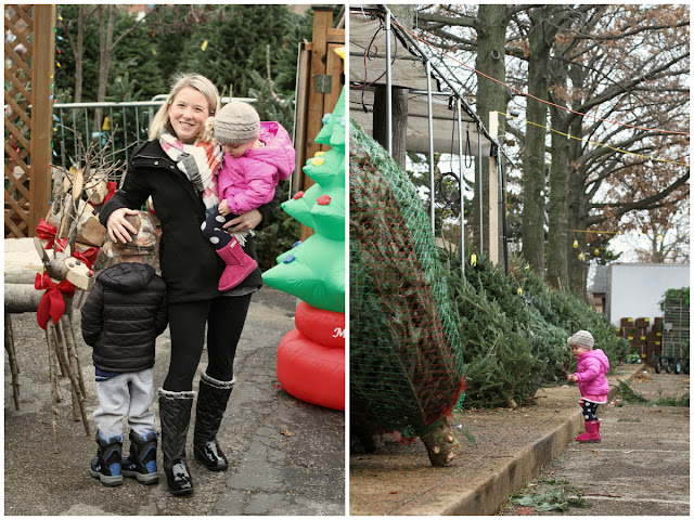 Running from the Law: Christmas Tree Shopping