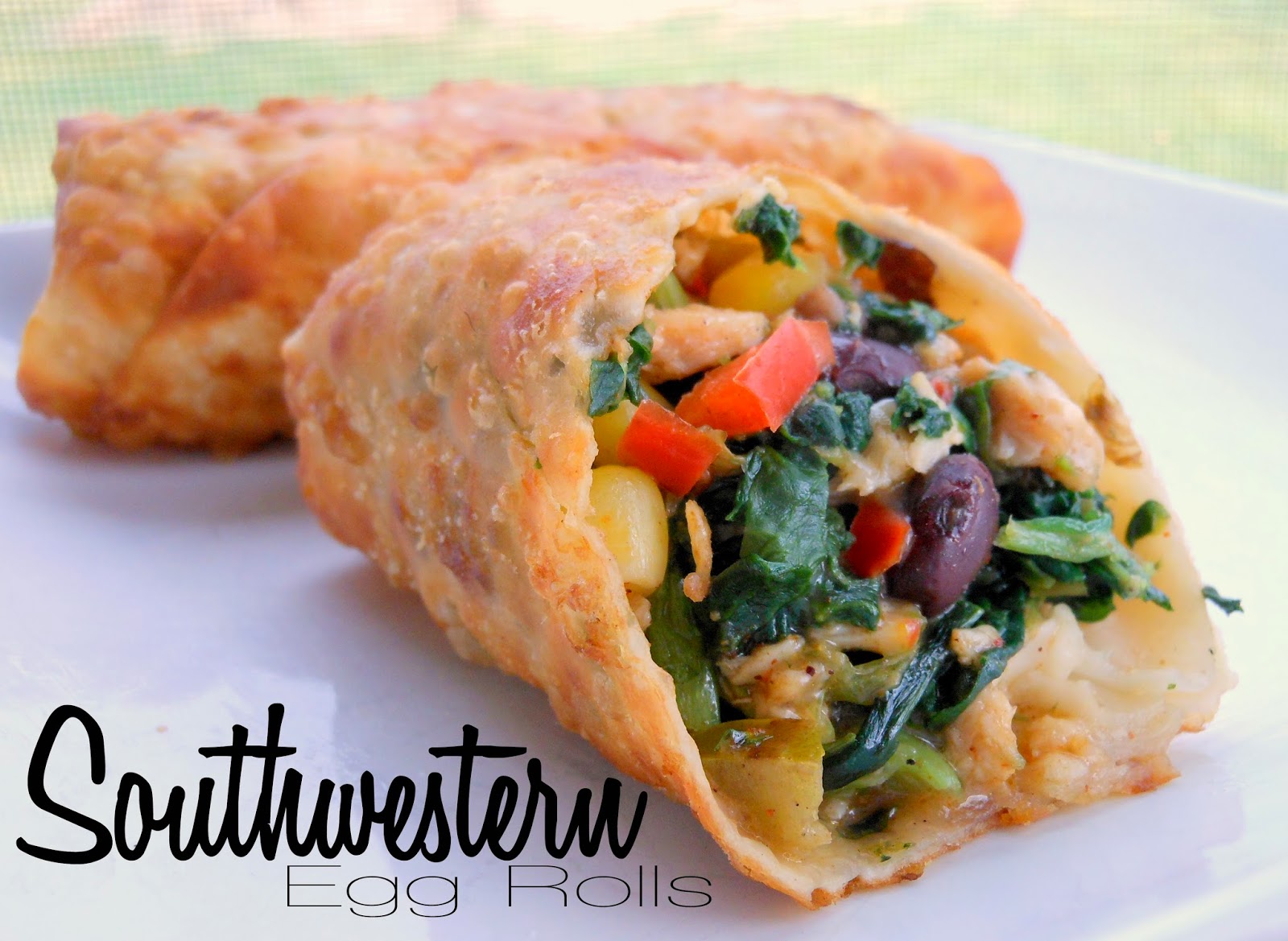 Sunny Days With My Loves Adventures in Homemaking Southwestern Egg Rolls