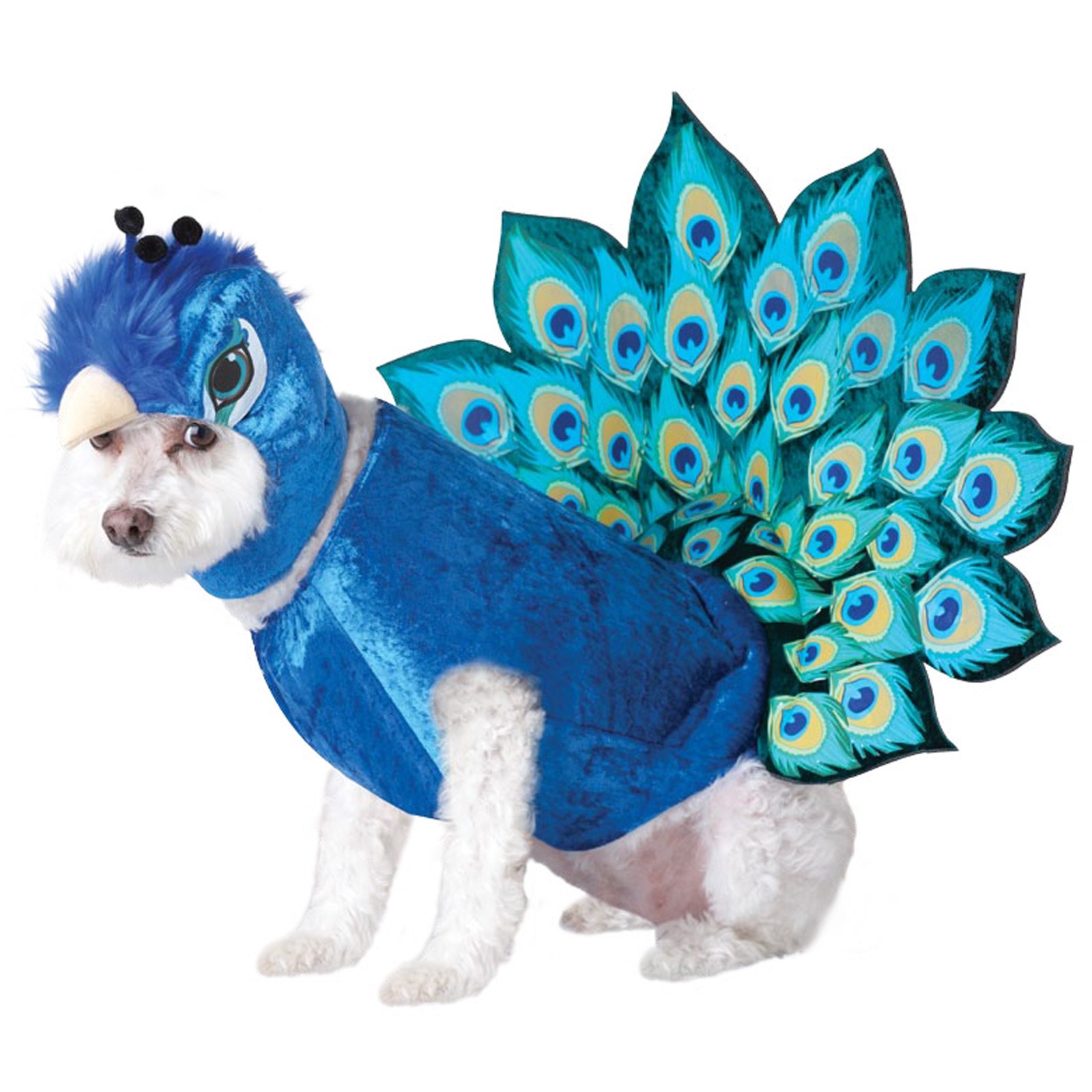National Dress Up Your Pet Day Style Of Doggie Dress Up