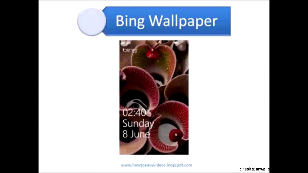 How to Set Bing wallpaper in windows phones lumia 625 lumia 520 How to Set Bing wallpaper in windows phones lumia 625 lumia 520