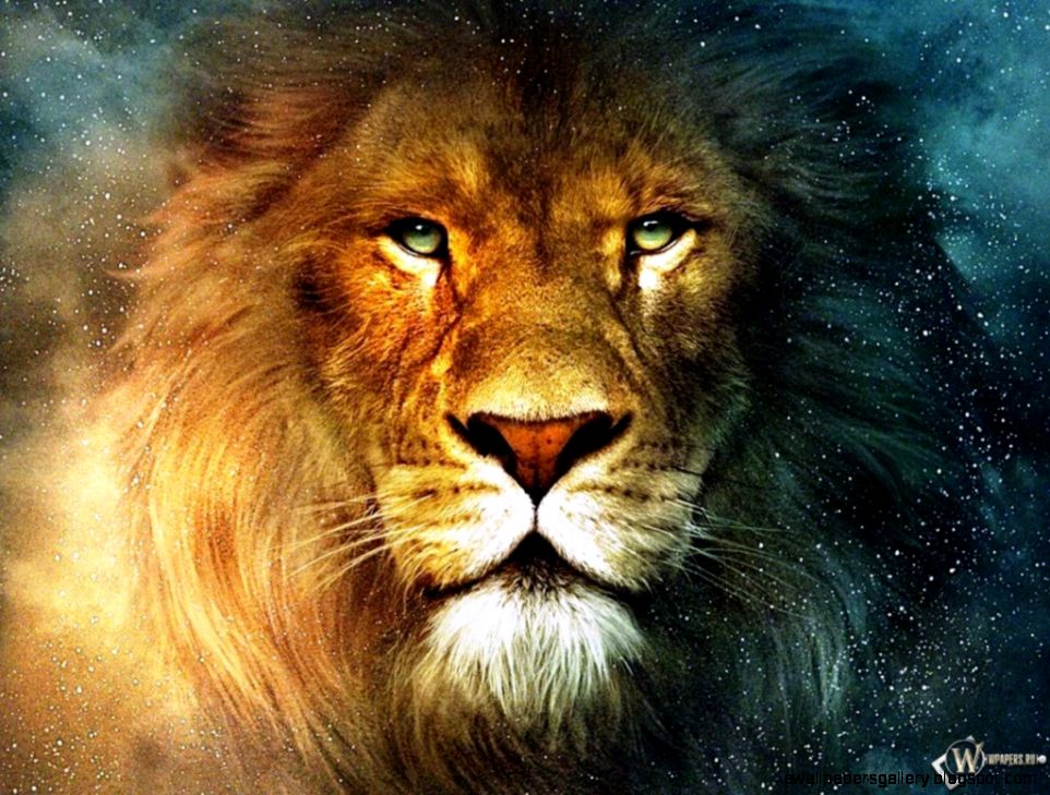 Lion Face Wallpaper Amazing Wallpapers Lion Face Wallpaper Amazing Wallpapers