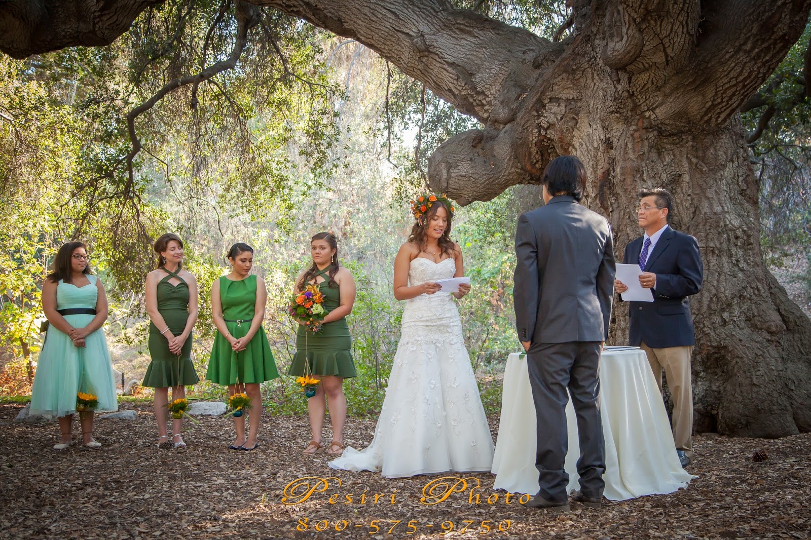 Pesiriphotosblogspot Rancho Santa Ana Botanical Garden Wedding By