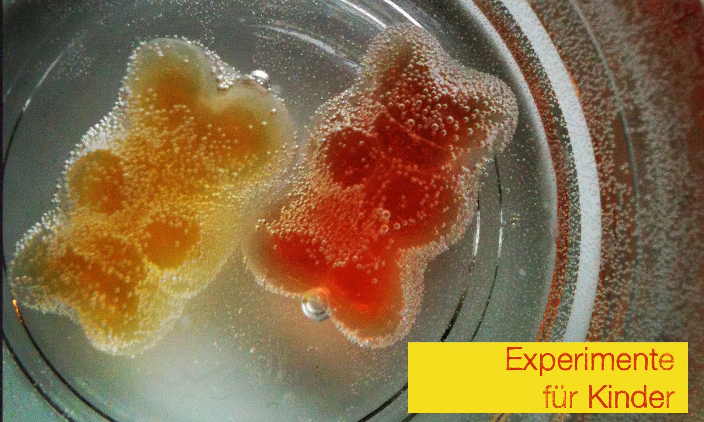 Apulien Mit Kindern Unsere Hotspots In Bari Insider Tipps