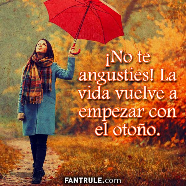 Imágenes de Feliz Otoño 2022 ⭐ BONITAS ❤ Hojas de arboles amarillas