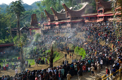 Download this Rambu Solo Tradisi Ritual Pemakaman Suku Toraja picture