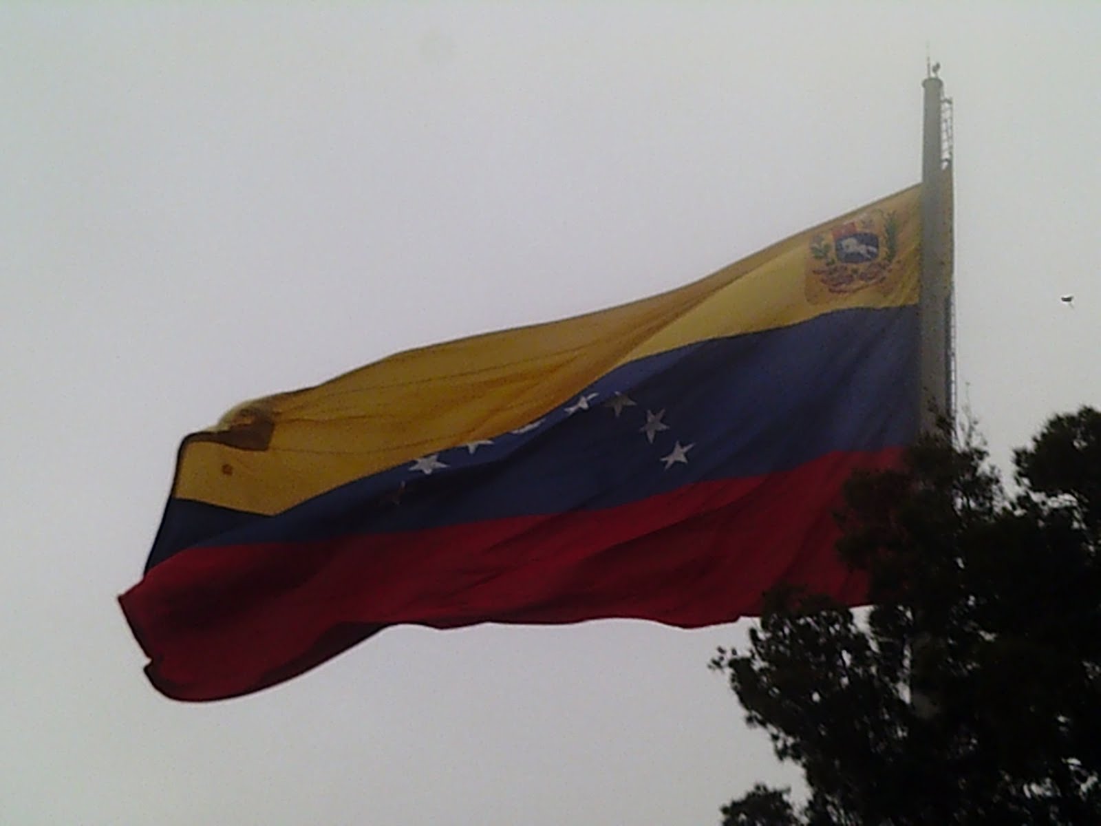 CARACAS-VENEZUELA