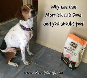 Merrick makes a limited ingredient diet dog food.