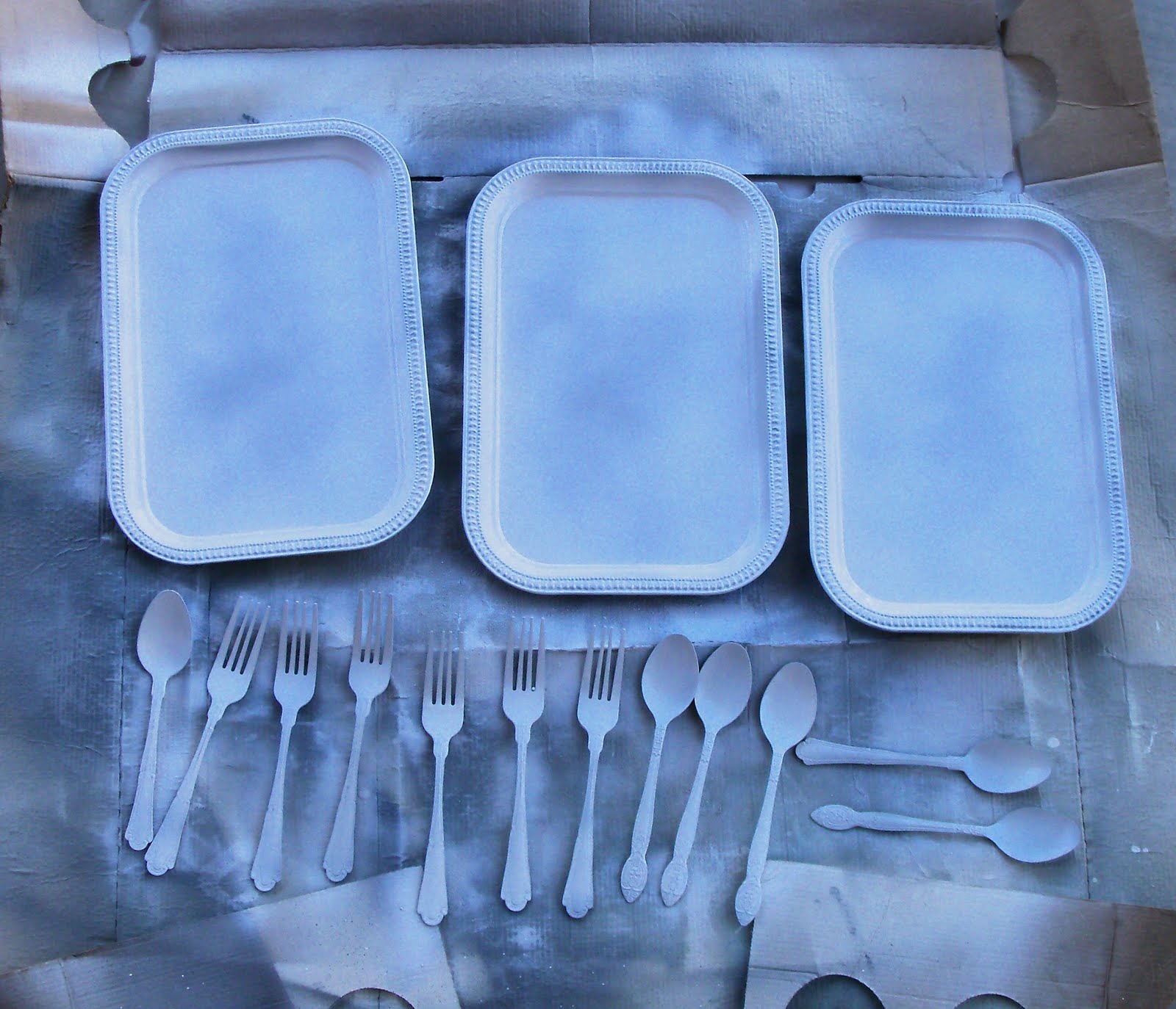 A Lil Bird told me... One Dollar Wednesday... cutlery trays