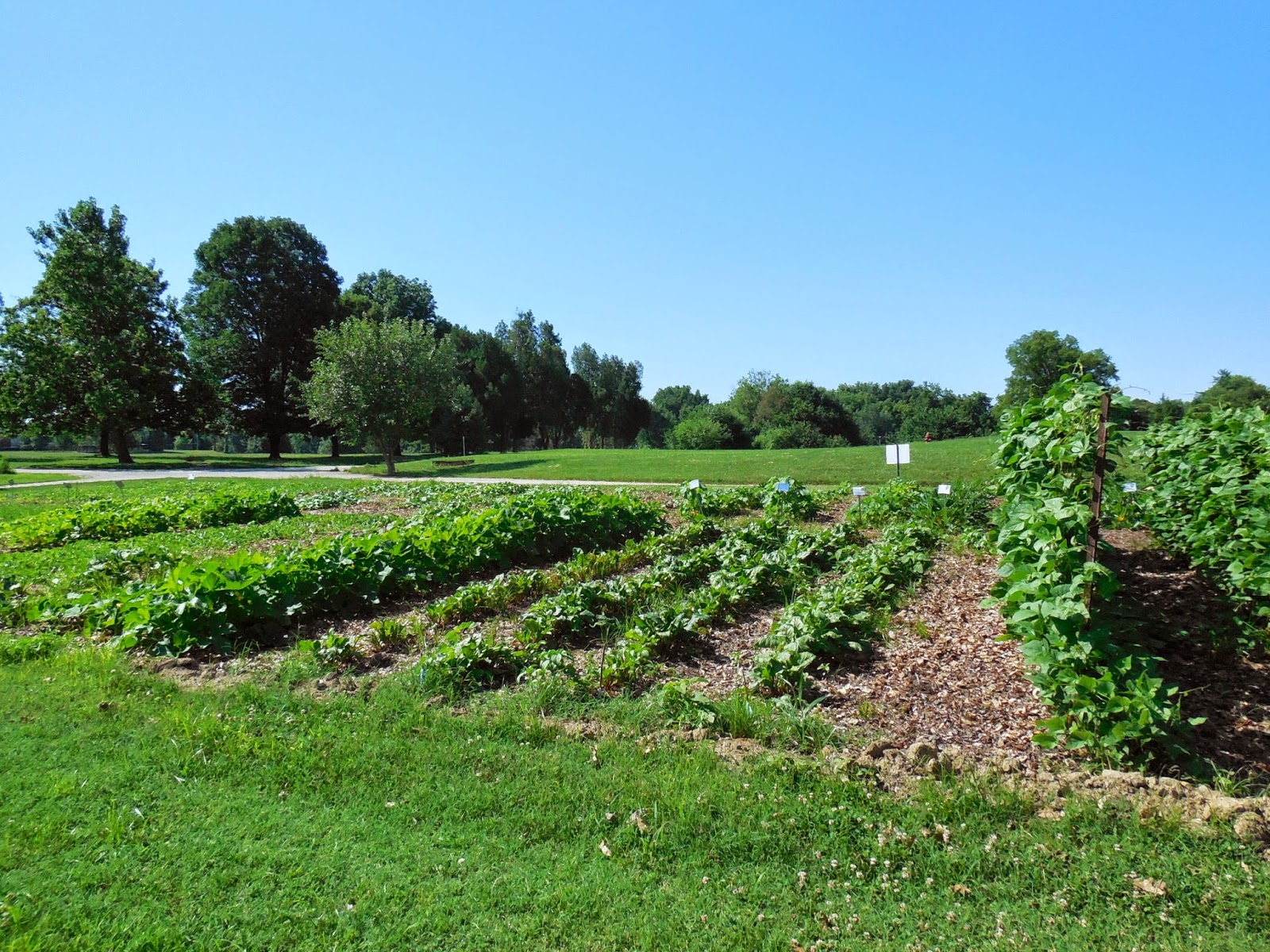 Backyard Patch Herbal Blog Traveling to Southern Indiana to visit gardens
