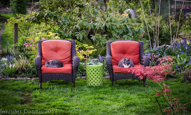 Celebrating 10 Years Of Garden Blogging A Look Back