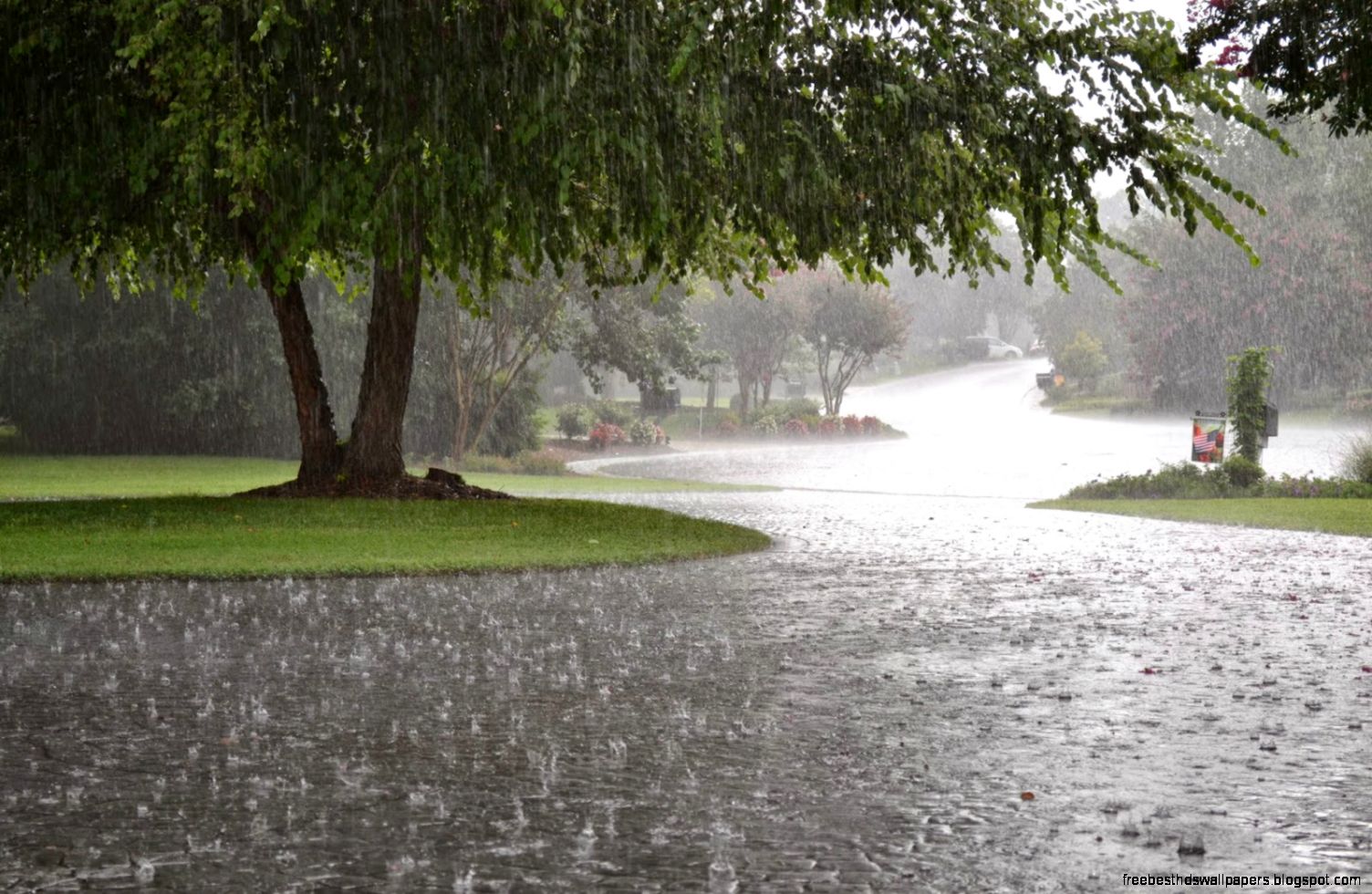 optics Why can we see through rain Physics Stack Exchange optics Why can we see through rain Physics Stack Exchange