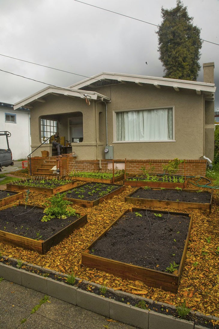 For this guy, the hardest part was developing the irrigation system. - He Started With Some Boxes, 60 Days Later, The Neighbors Could Not Believe What He Built For this guy, the hardest part was developing the irrigation system. - He Started With Some Boxes, 60 Days Later, The Neighbors Could Not Believe What He Built