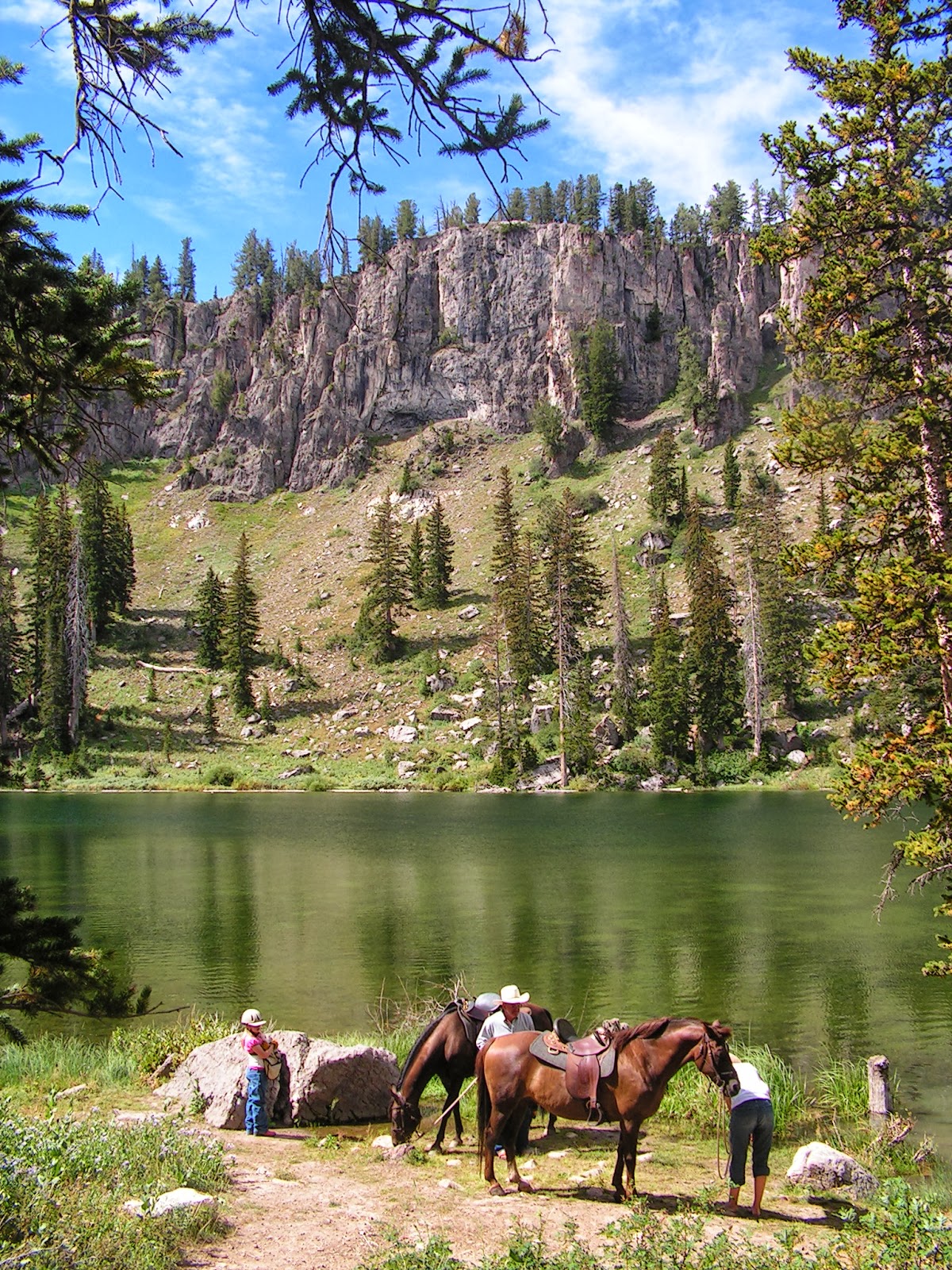 Dream Packer Trail Adventures Logan Canyon, White Pine, Utah