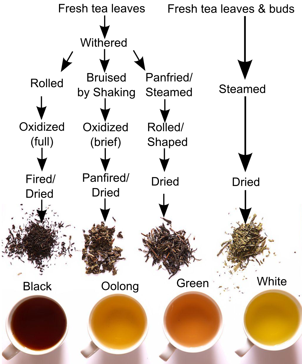 self health guide the healthiest tea self health guide the healthiest tea