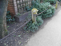 Monkey Walk - ZSL London Zoo