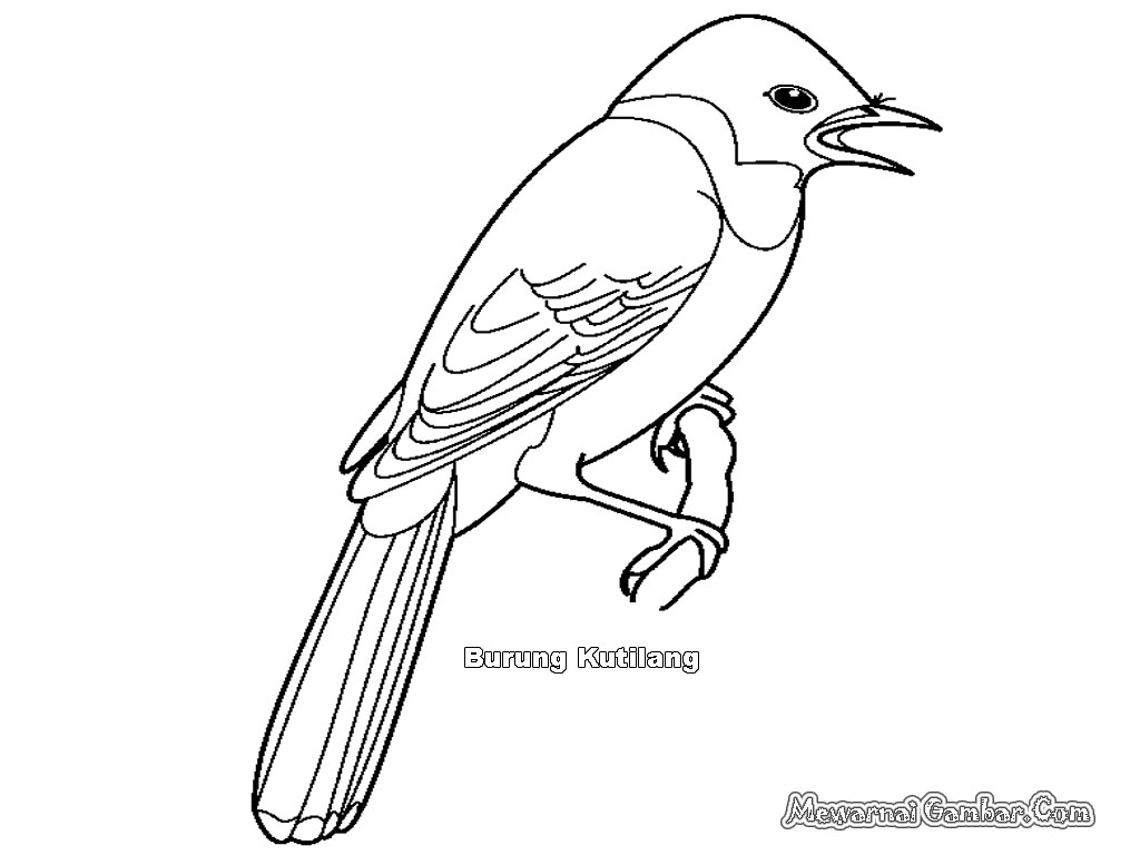 Gambar Animasi Format Gif Burung Gambar Burung Kicauan