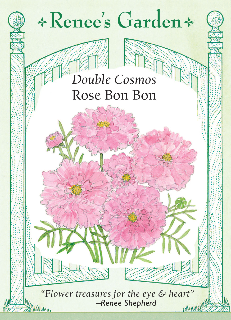 Renee's Garden Seeds Renee's Blog Seed Of The Month Double Cosmos 4AD