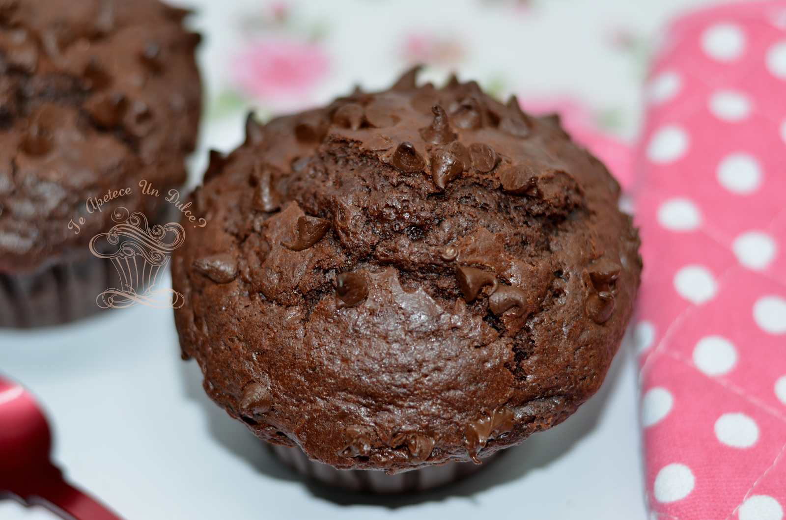 ¿ Te apetece un dulce ? Muffins de chocolate XL tipo Starbucks